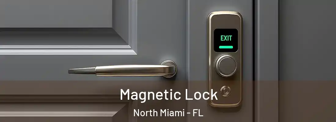  Magnetic Lock North Miami - FL